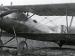 Albatros D.V 2359/17 (AL0810-016). Unarmed and repainted